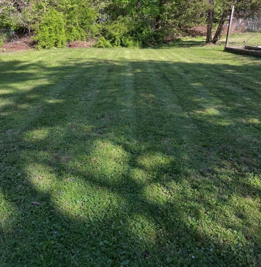 We also offer: Gutter Cleaning, Poison Ivy Removal, Weeding, and Seeding.