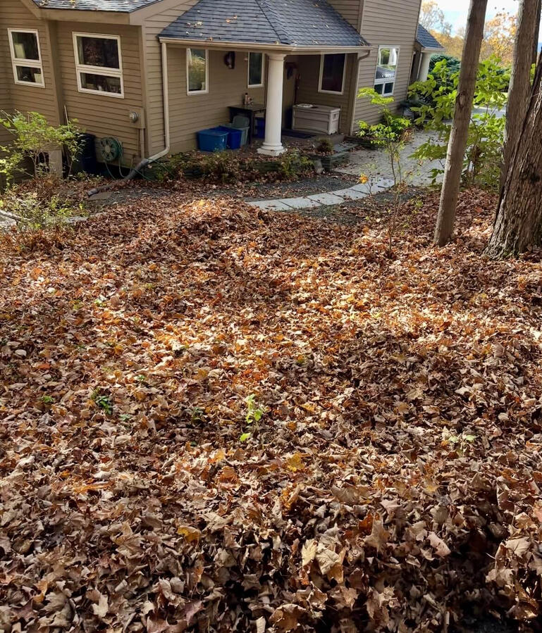 Spring/Fall Cleanups