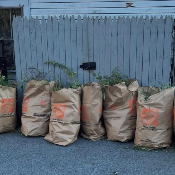 We also offer: Gutter Cleaning, Poison Ivy Removal, Weeding, and Seeding.