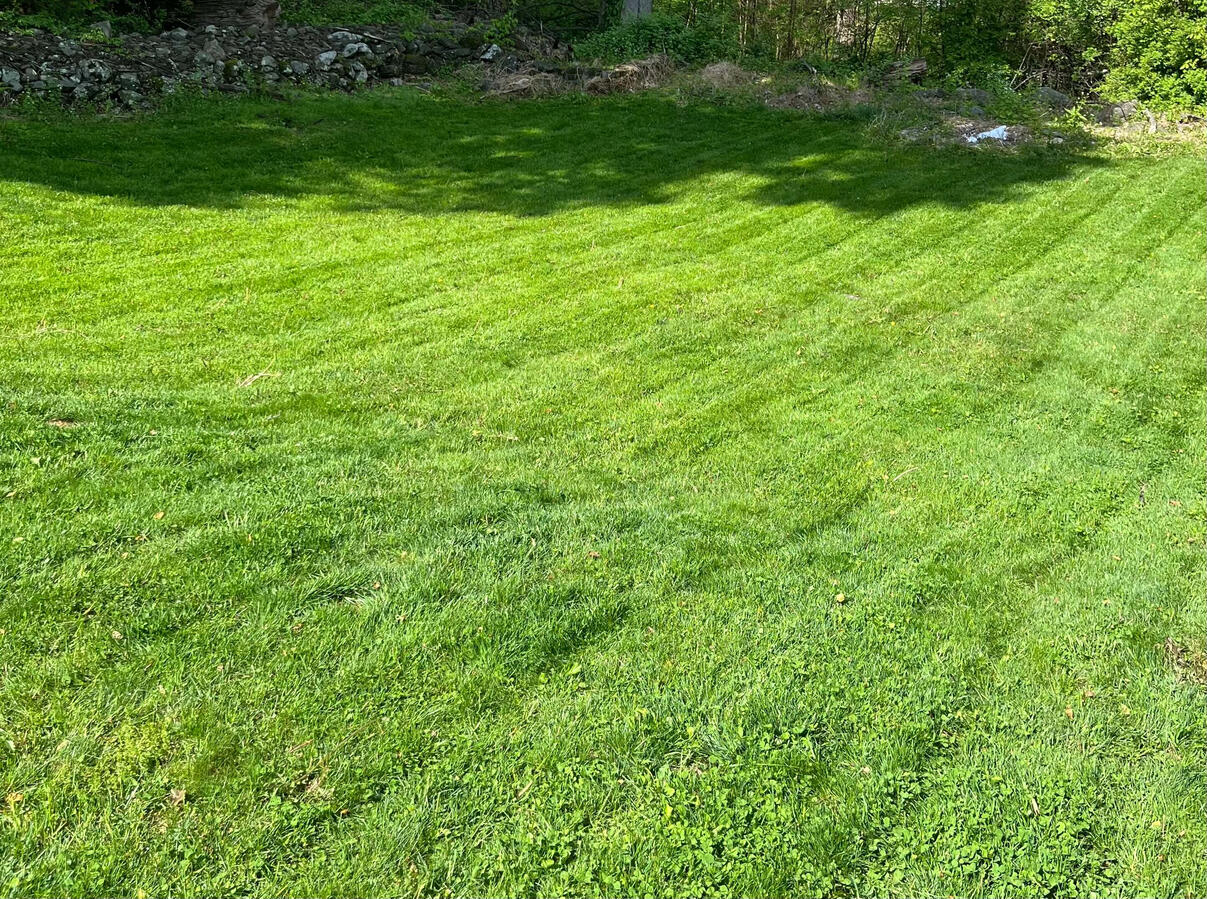 Lawn mowing/Edging